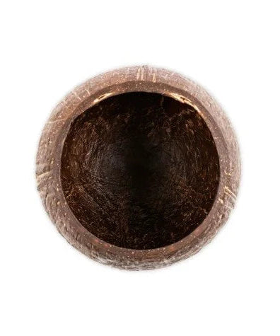 Load image into Gallery viewer, Coconut Cup with base - inside view
