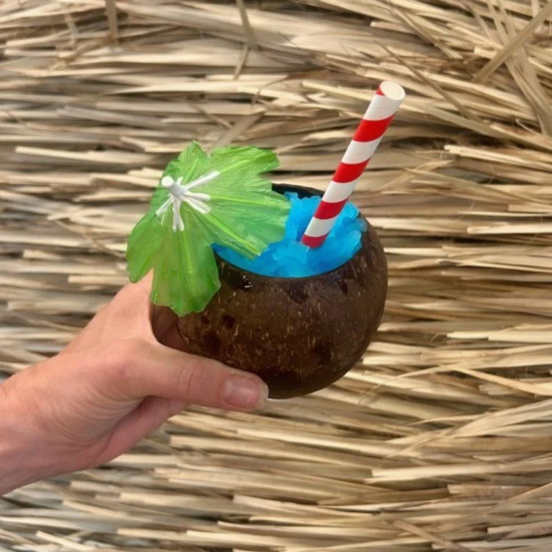 Load image into Gallery viewer, Authentic Coconut Drinking Cups - Set of 4
