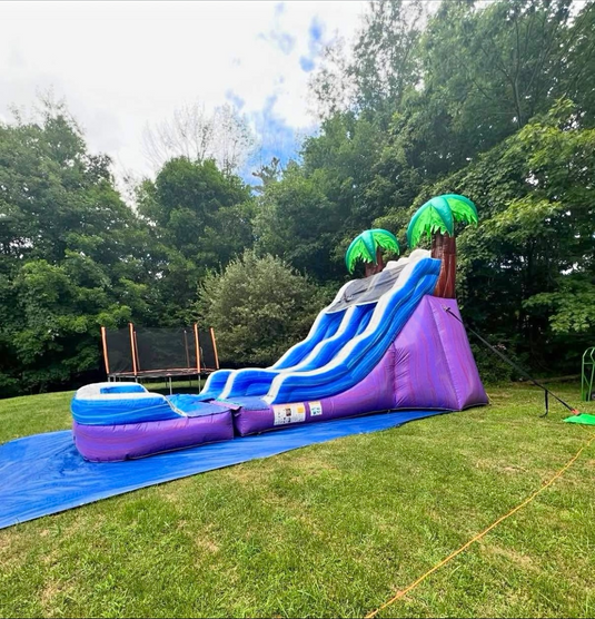 Inflatable Water Slide - 17 Foot Tropical Theme